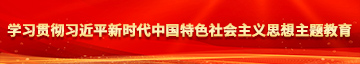 操女生很爽网站学习贯彻习近平新时代中国特色社会主义思想主题教育